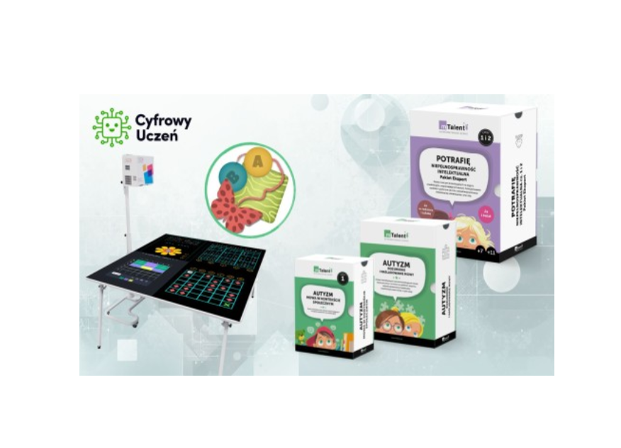 Zestaw 16 (R) - Rewalidacja i wsparcie SPE